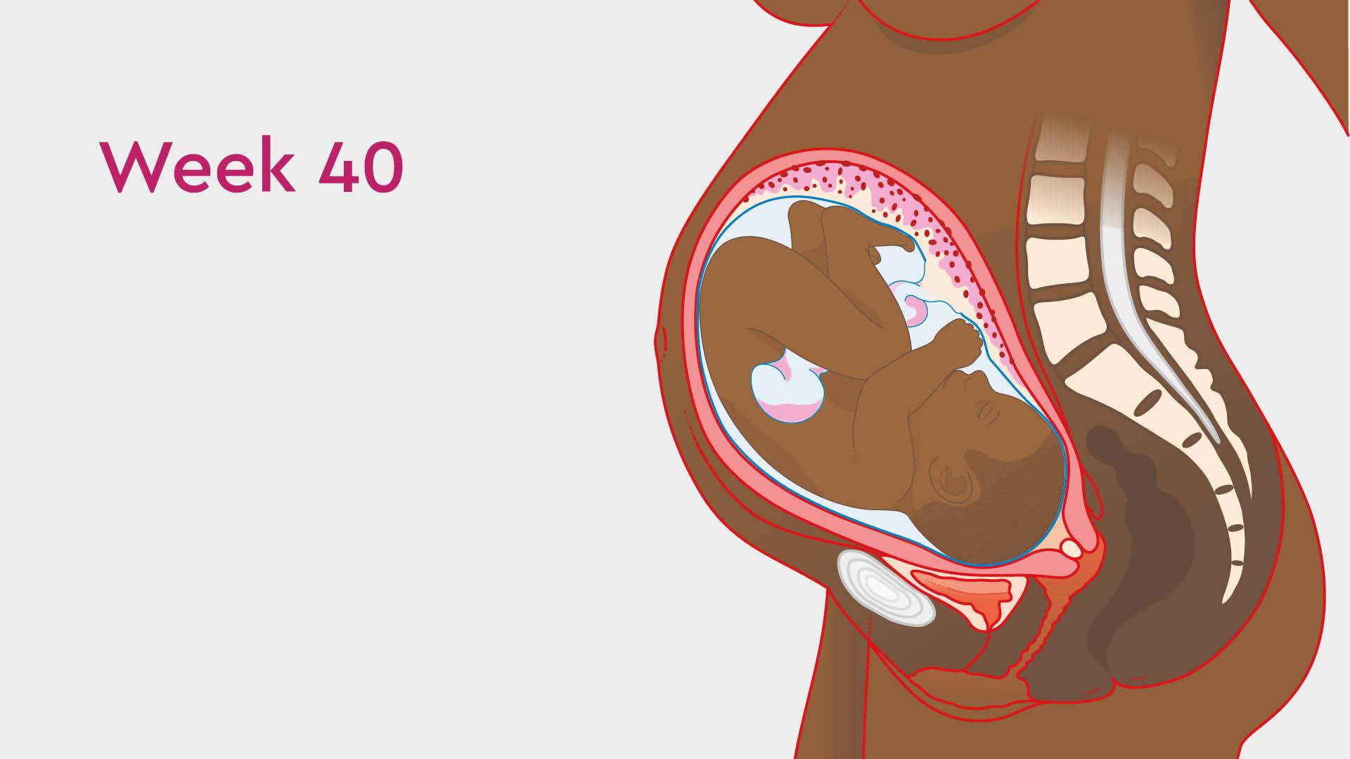 40 Weeks Pregnant Contractions Other Symptoms of Labour